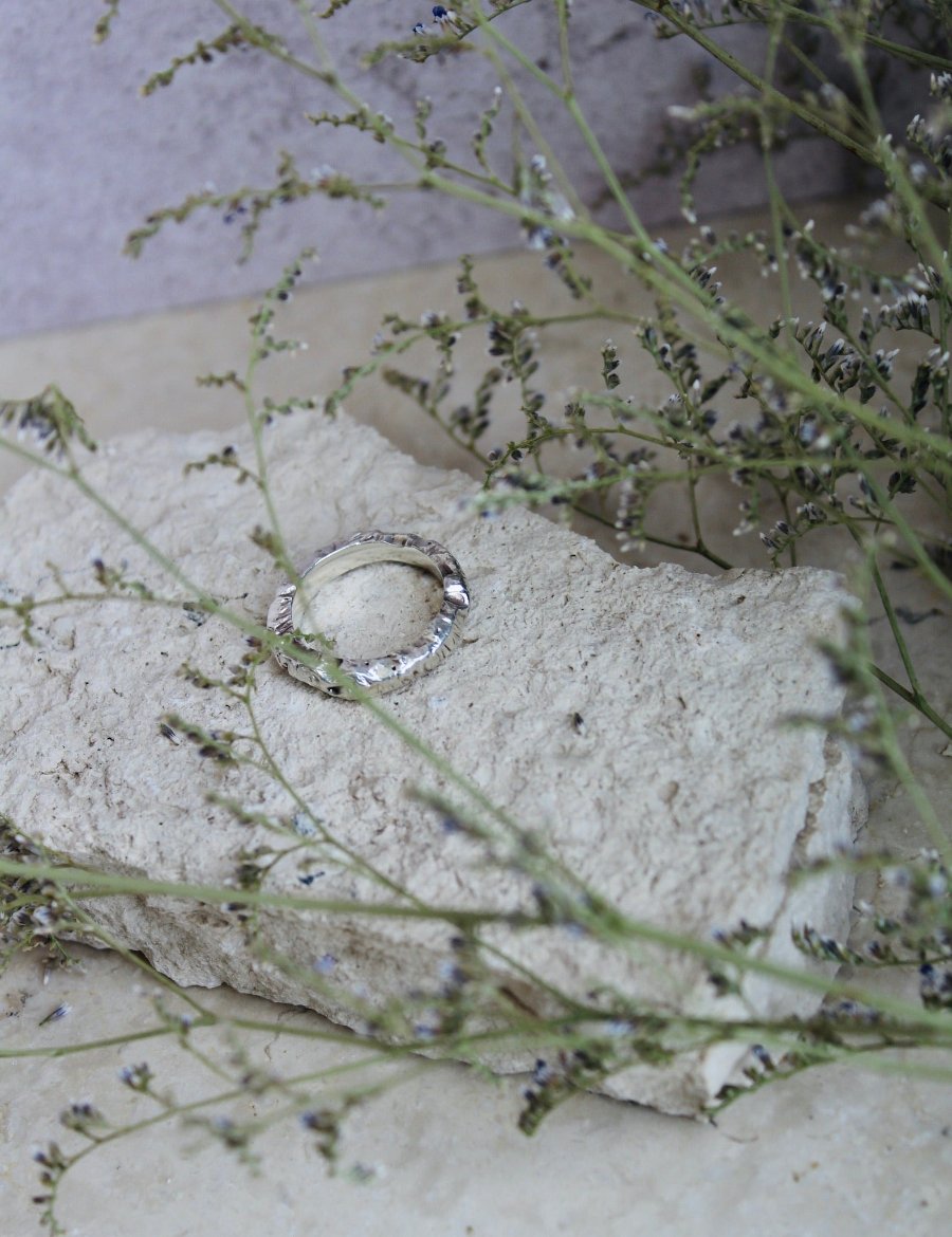 Anillo Corteza